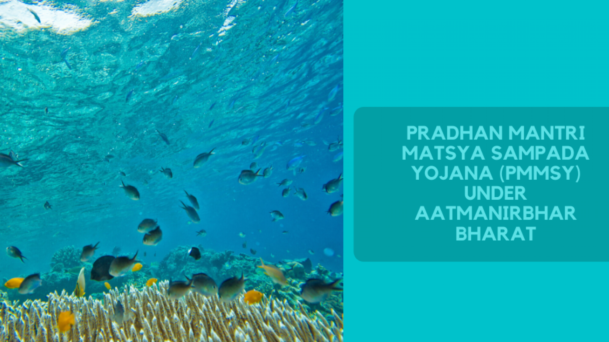 Fisheries scheme Pradhan Mantri Matsya Sampada Yojana (PMMSY)