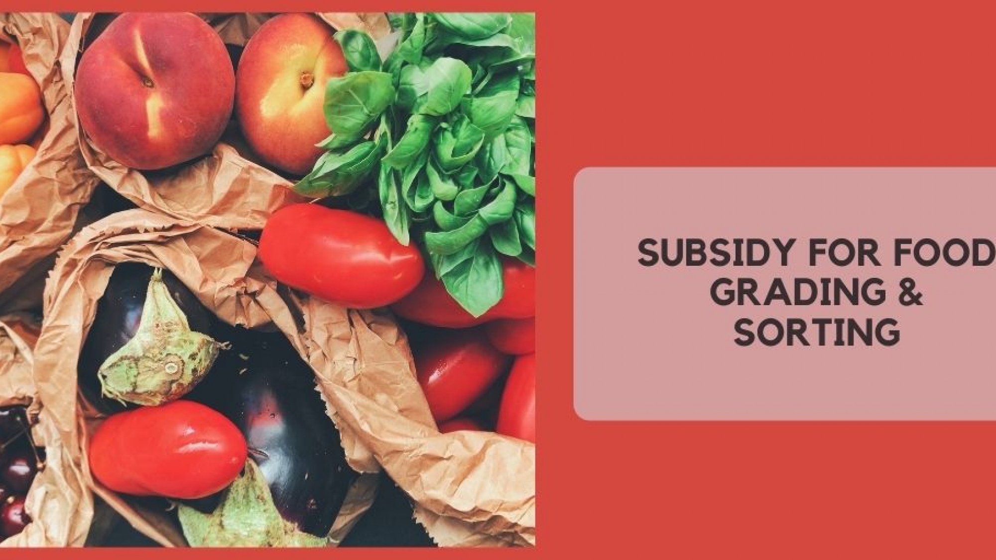 Subsidy For Food grading & sorting