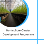 Horticulture Cluster Development Programme
