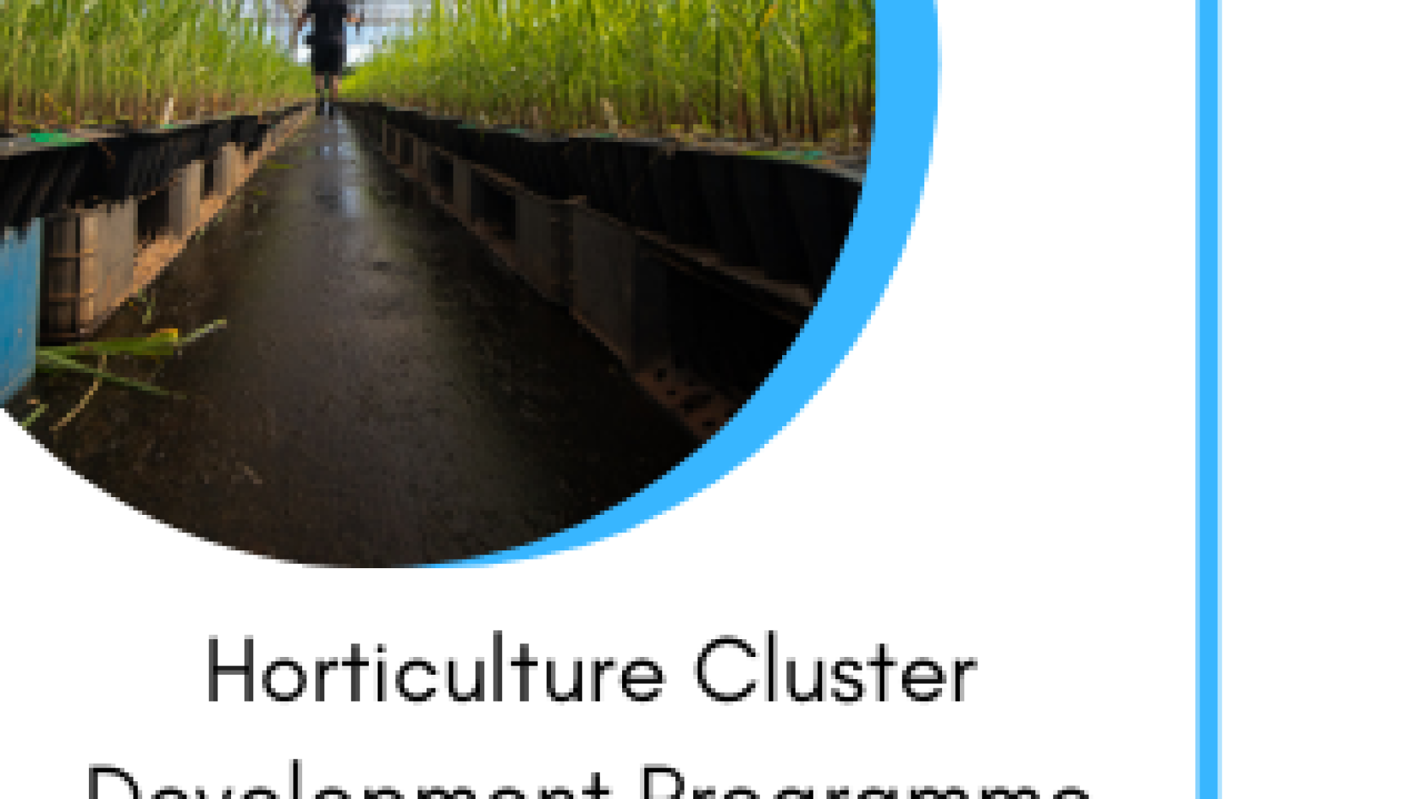 Horticulture Cluster Development Programme
