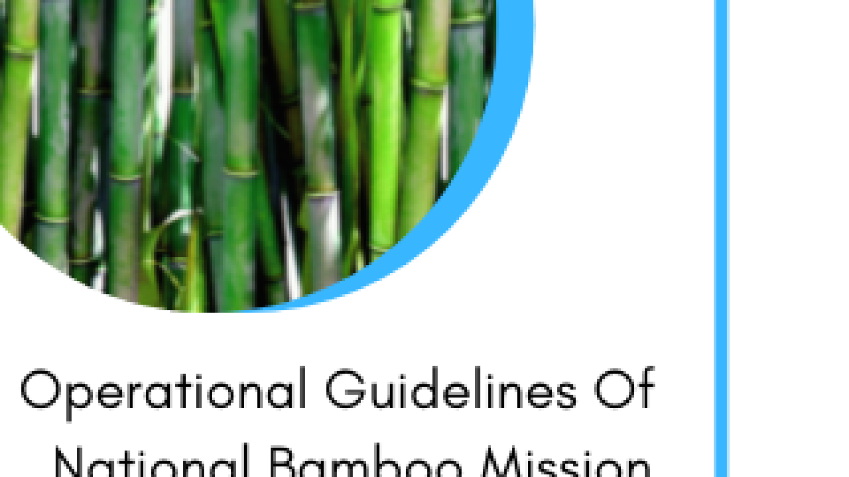subsidy for bamboo plantation National Bamboo Mission