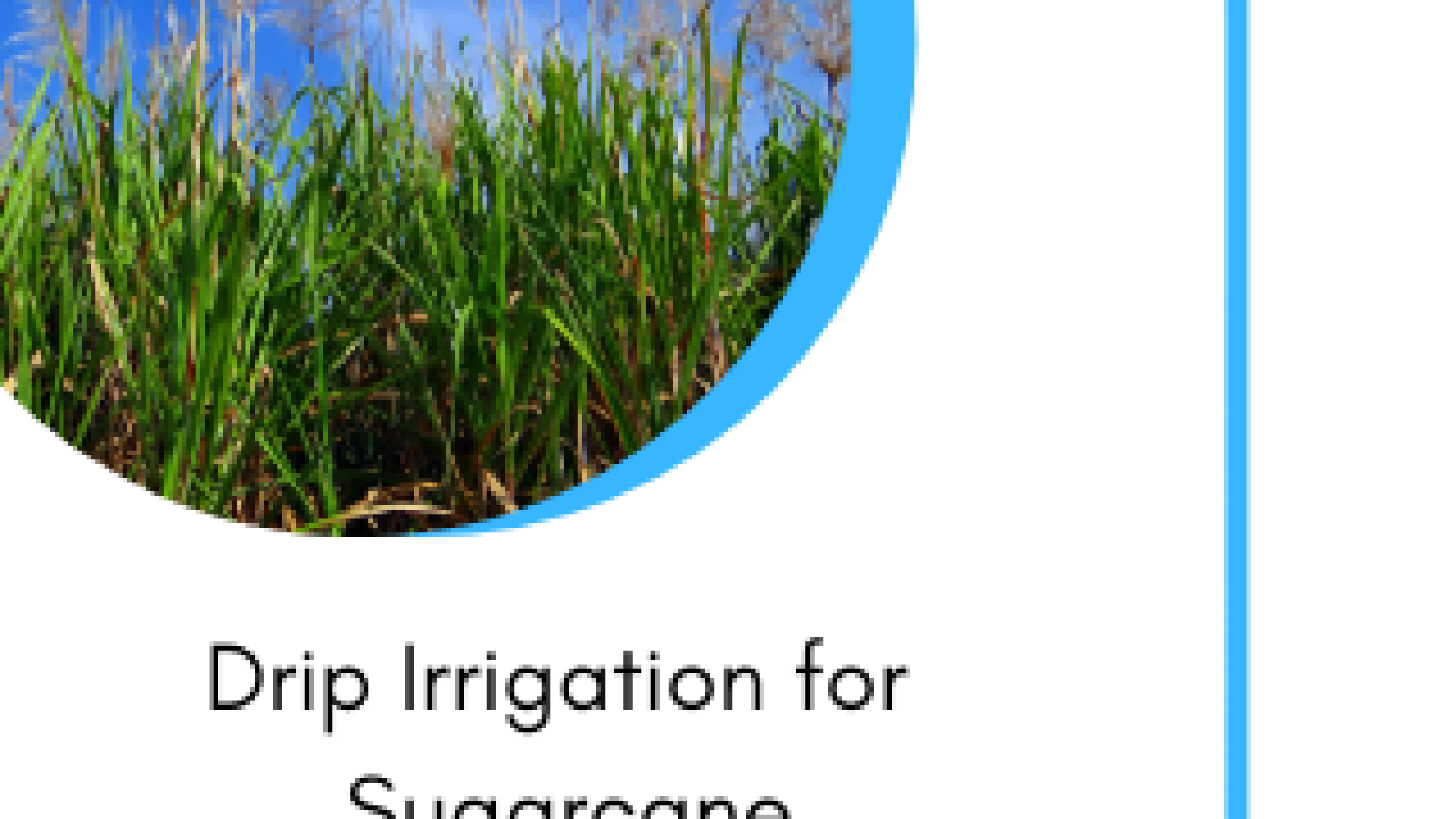 subsidy for sugarcane Irrigation