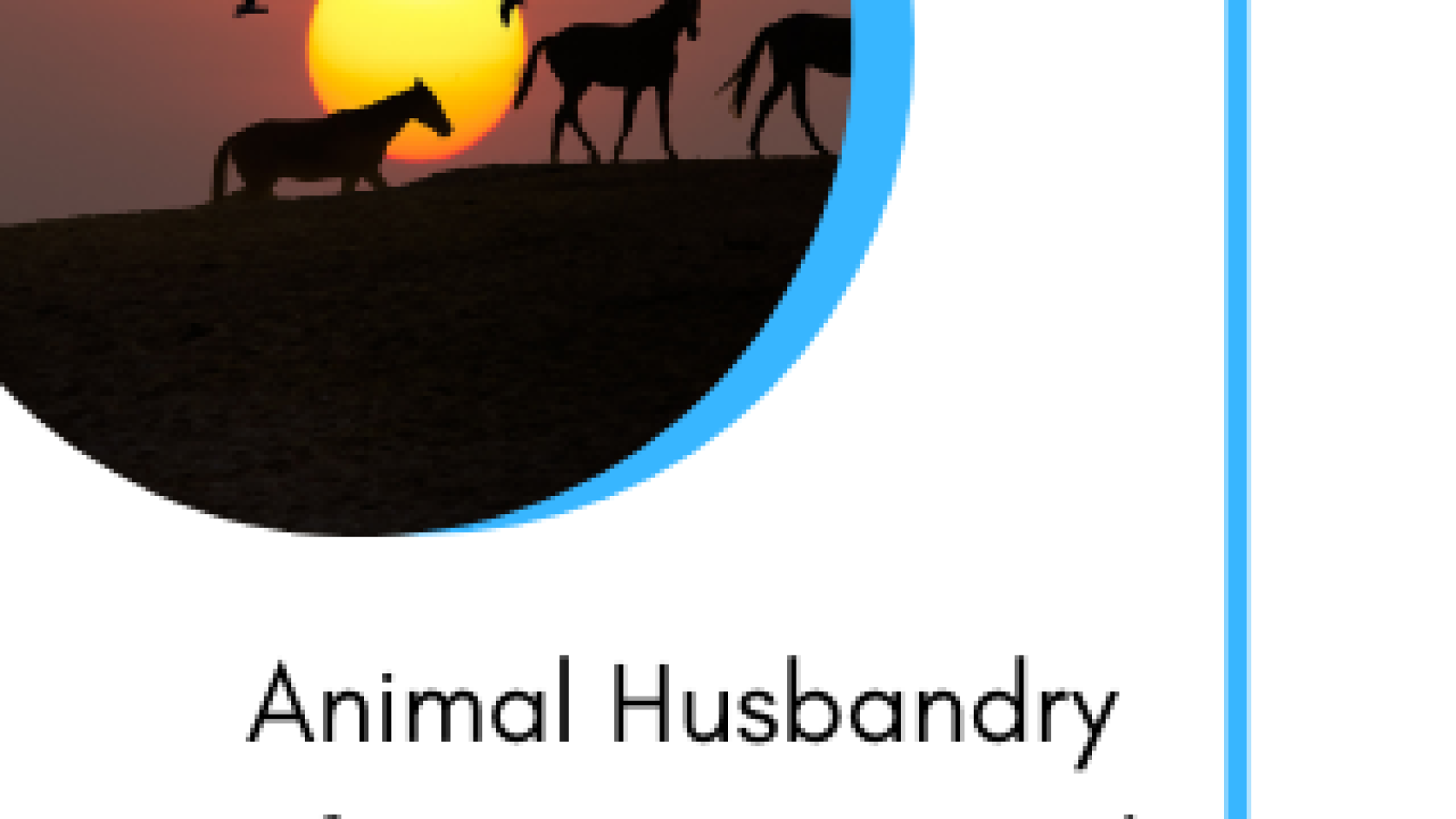 Animal Husbandry Infrastructure Fund