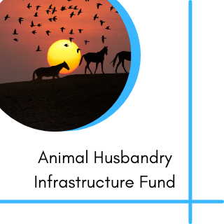 Animal Husbandry Infrastructure Fund