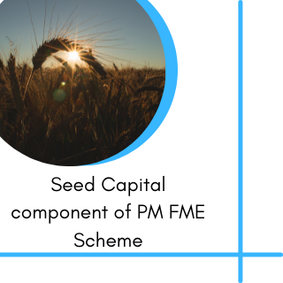 Seed Capital component of PM FME Scheme