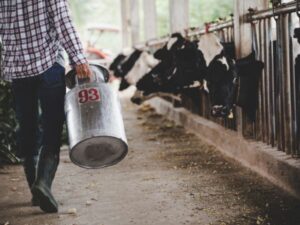 Subsidy for silage making unit